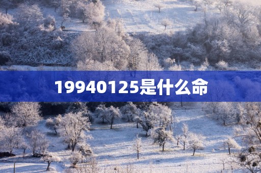 19940125是什么命