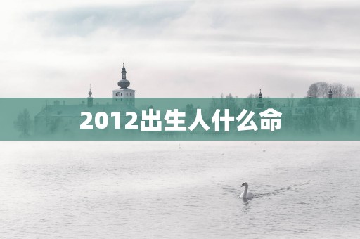 2012出生人什么命