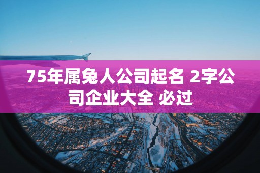 75年属兔人公司起名 2字公司企业大全 必过