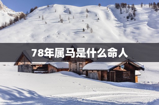 78年属马是什么命人