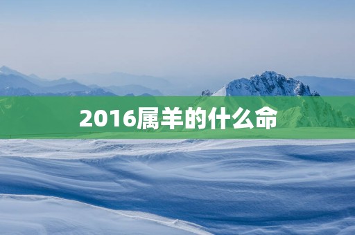2016属羊的什么命