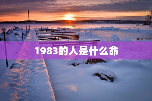 1983的人是什么命