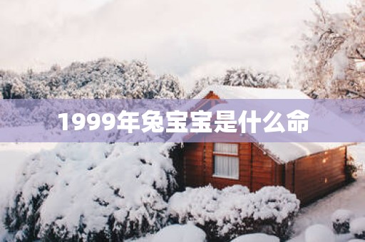 1999年兔宝宝是什么命