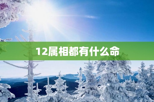 12属相都有什么命