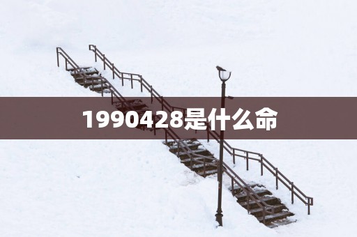 1990428是什么命