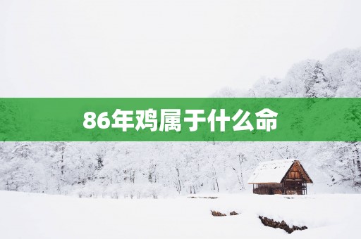 86年鸡属于什么命