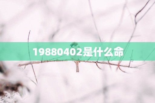 19880402是什么命