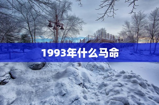 1993年什么马命