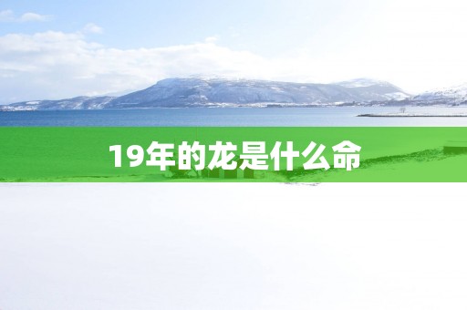 19年的龙是什么命