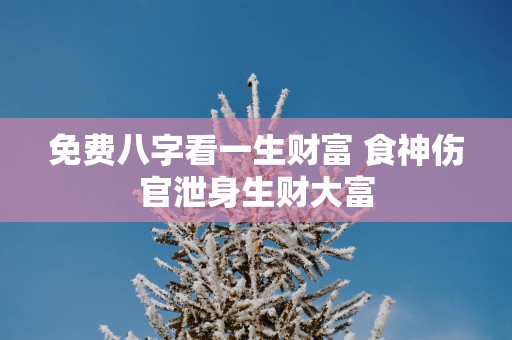 免费八字看一生财富 食神伤官泄身生财大富