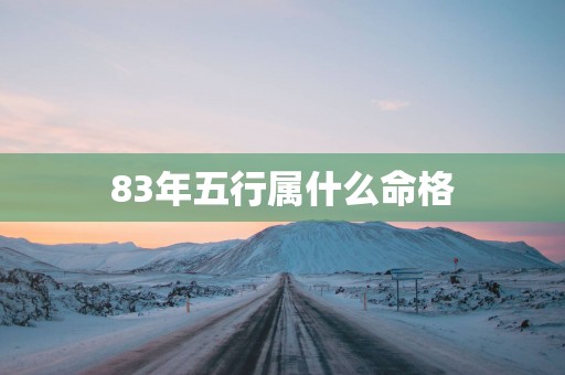 83年五行属什么命格