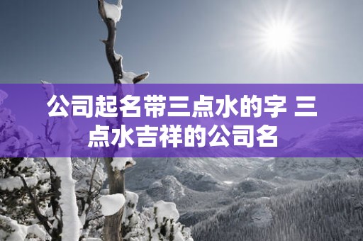 公司起名带三点水的字 三点水吉祥的公司名