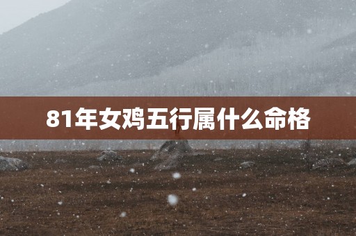 81年女鸡五行属什么命格