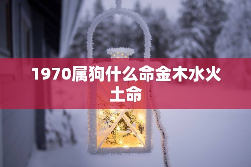 1970属狗什么命金木水火土命