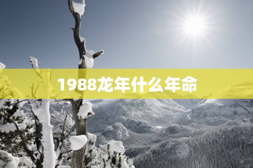1988蛇年什么年命