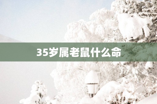 35岁属老鼠什么命