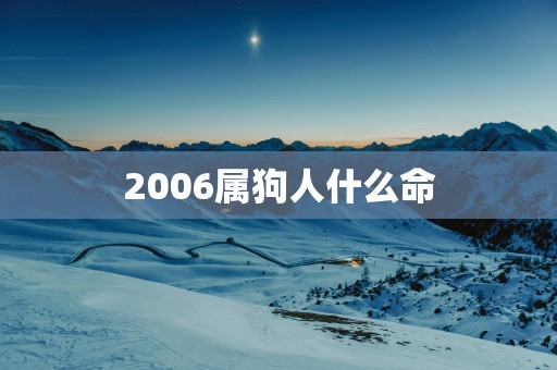2006属狗人什么命
