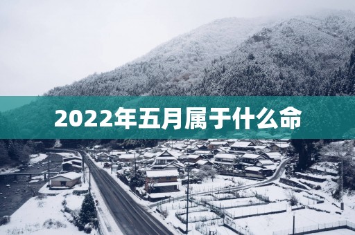 2025年五月属于什么命
