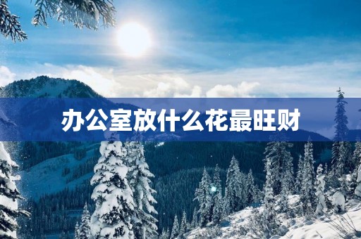 办公室放什么花最旺财