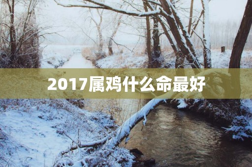 2017属鸡什么命最好