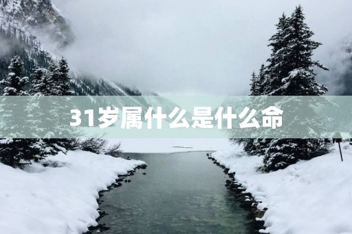 31岁属什么是什么命