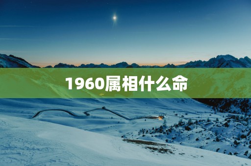1960属相什么命
