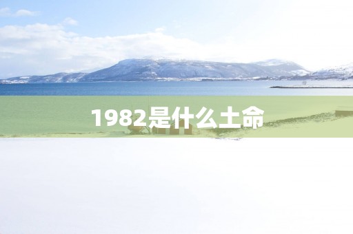 1982是什么土命