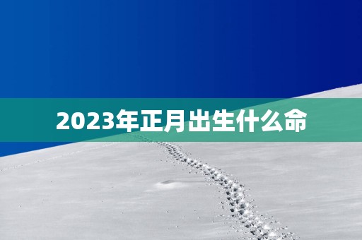 2025年正月出生什么命