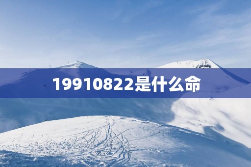 19910822是什么命
