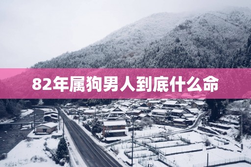 82年属狗男人到底什么命