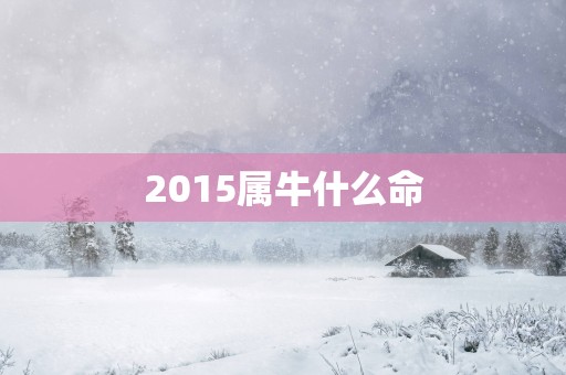 2015属牛什么命