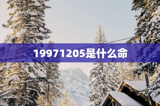 19971205是什么命