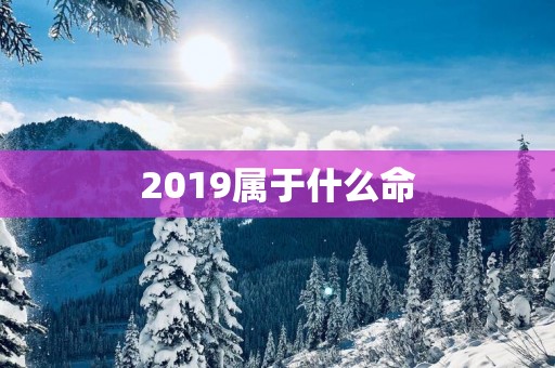 2019属于什么命