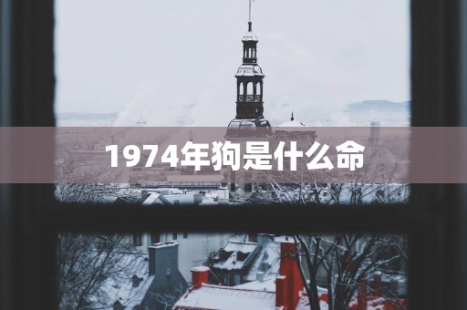 1974年狗是什么命