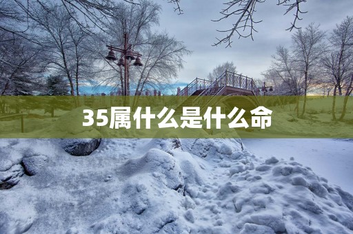 35属什么是什么命