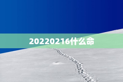 20250216什么命