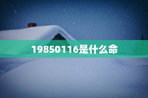 19850116是什么命