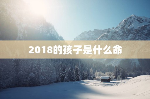 2018的孩子是什么命