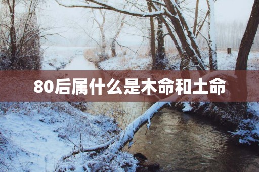 80后属什么是木命和土命