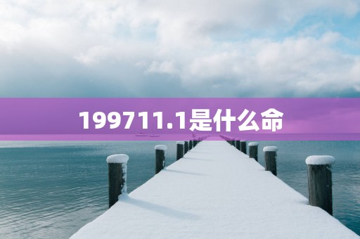 199711.1是什么命