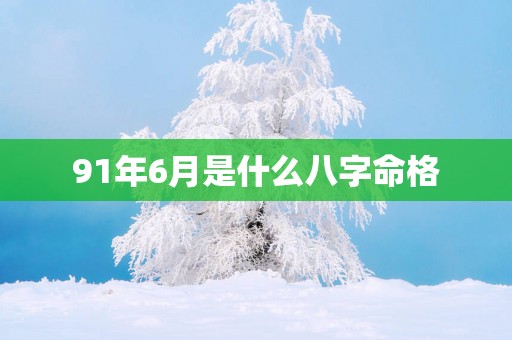 91年6月是什么八字命格