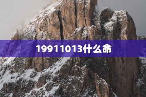 19911013什么命