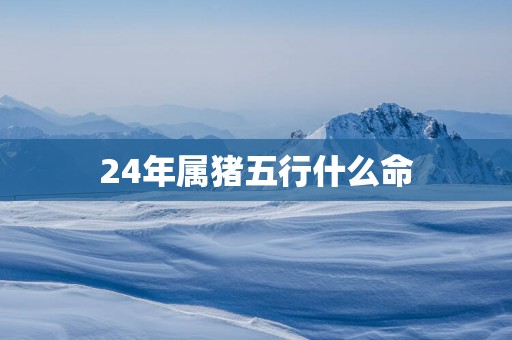 24年属猪五行什么命