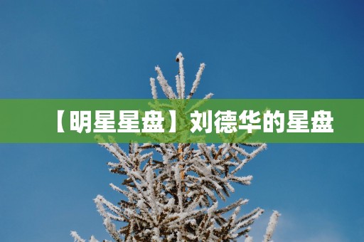 【明星星盘】刘德华的星盘