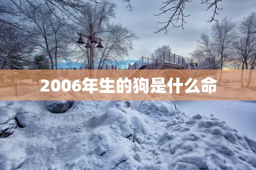 2006年生的狗是什么命