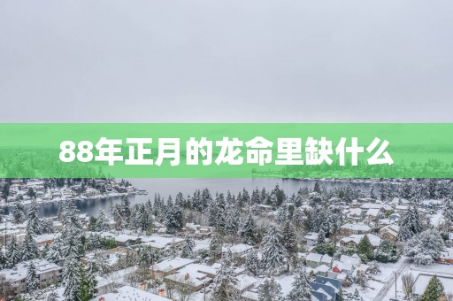 88年正月的龙命里缺什么
