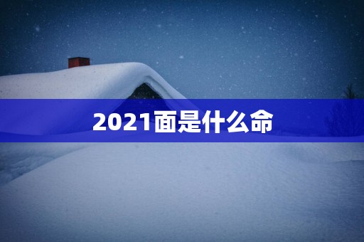 2025面是什么命