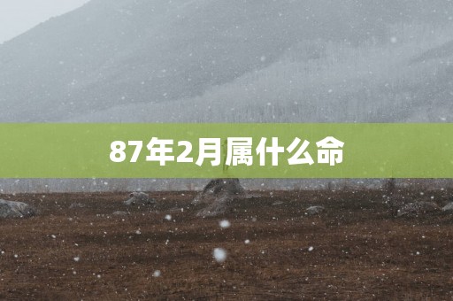 87年2月属什么命