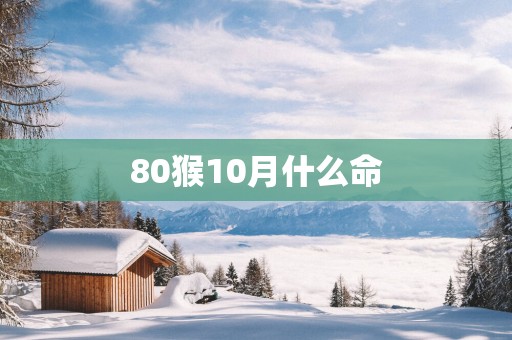80猴10月什么命