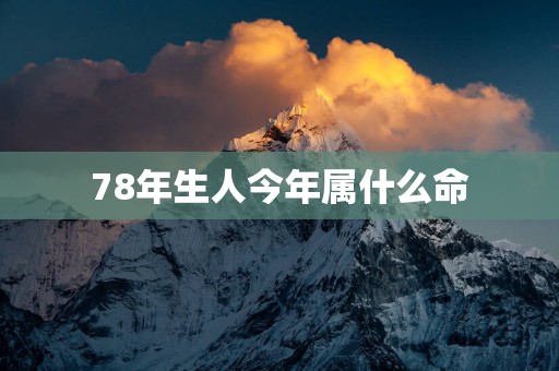 78年生人今年属什么命